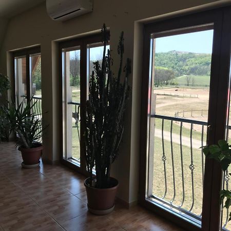 Prosper Lovasklub Panzio Bed & Breakfast Piliscsev Exterior photo
